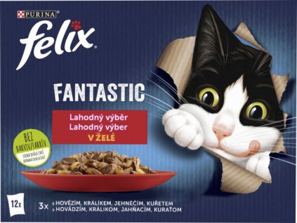 976430-felix-fantastic-kapsicky-pro-kock