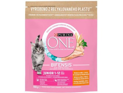 976266-purina-one-bifensis-junior-800-g-