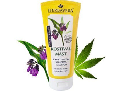 812005-kostivalova-mast-byliny