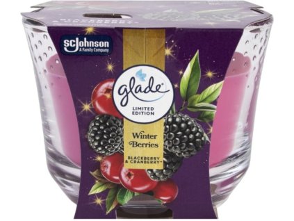 773155-glade-winter-berries-velka-svicka