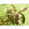 656127-agro-stop-kaderavosti-05