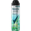 837137-rexona-men-iced-lemon-sage