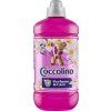 777221-Coccolino-avivaz-Tiare-Flower
